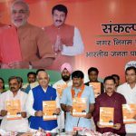 delhibjpmanifesto