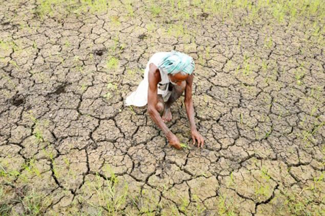 बैंकरों का आरोप जान-बूझकर किसान नहीं चुकाते बैंकों का कर्ज