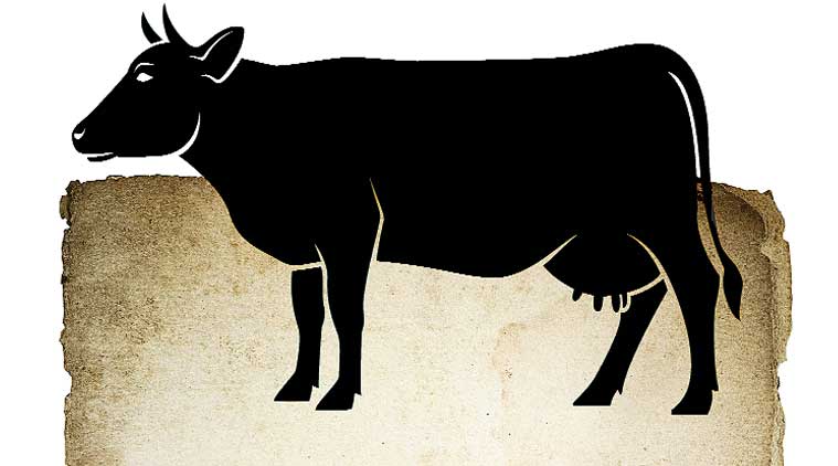 गायों की हिफाजत के लिए UID जैसी व्यवस्था लागू करने की सिफारिश